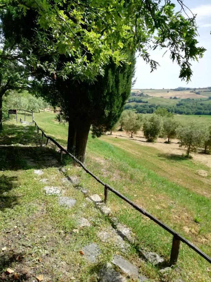 Agriturismo Podere Cherzo チニジャーノ エクステリア 写真