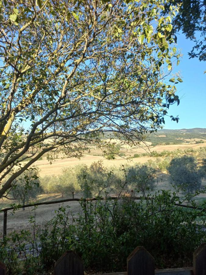 Agriturismo Podere Cherzo チニジャーノ エクステリア 写真