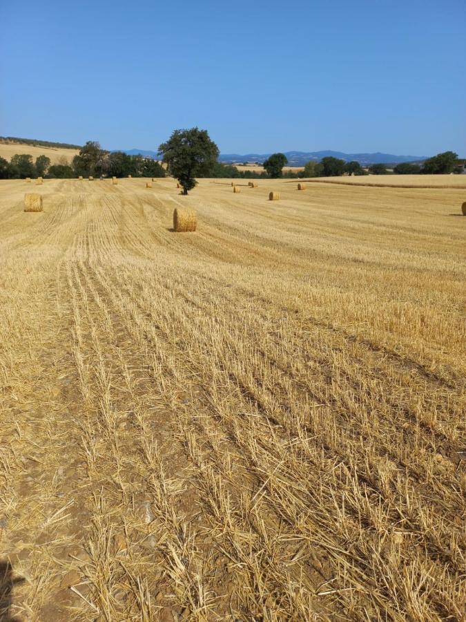 Agriturismo Podere Cherzo チニジャーノ エクステリア 写真