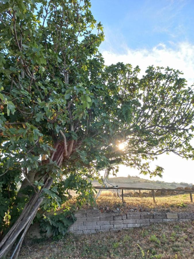 Agriturismo Podere Cherzo チニジャーノ エクステリア 写真