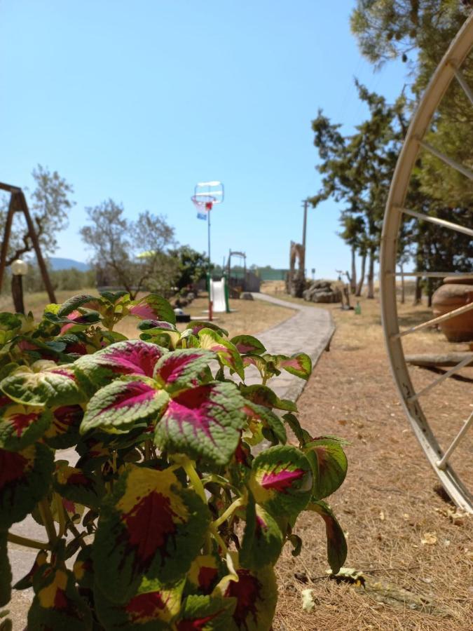 Agriturismo Podere Cherzo チニジャーノ エクステリア 写真