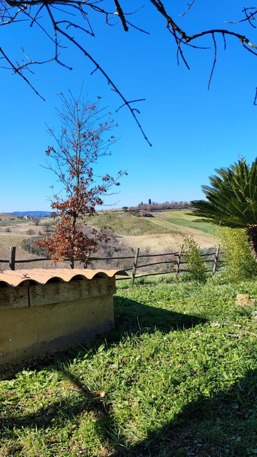 Agriturismo Podere Cherzo チニジャーノ エクステリア 写真